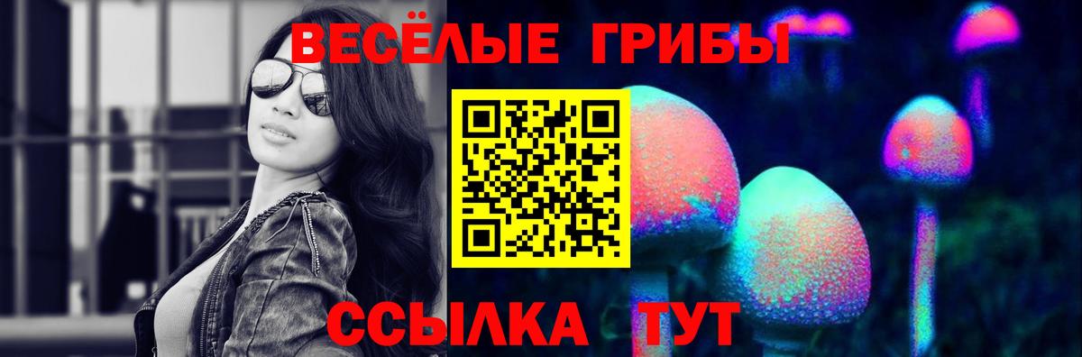 Воткинск  Псилоцибиновые грибы GOLDEN TEACHER  Вход с VPN 